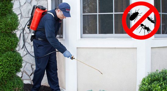19 Mayıs Hamam Böceği İlaçlama böcek ilaçlama ve haşere kontrolü — ilaclama-tr.com